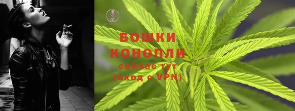 дмт Абаза