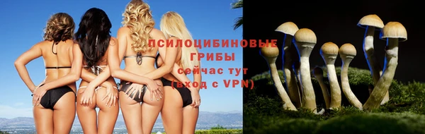 2c-b Абинск