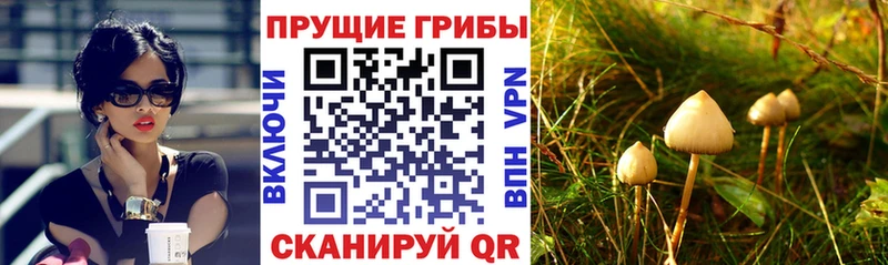 Галлюциногенные грибы ЛСД  Сухиничи 